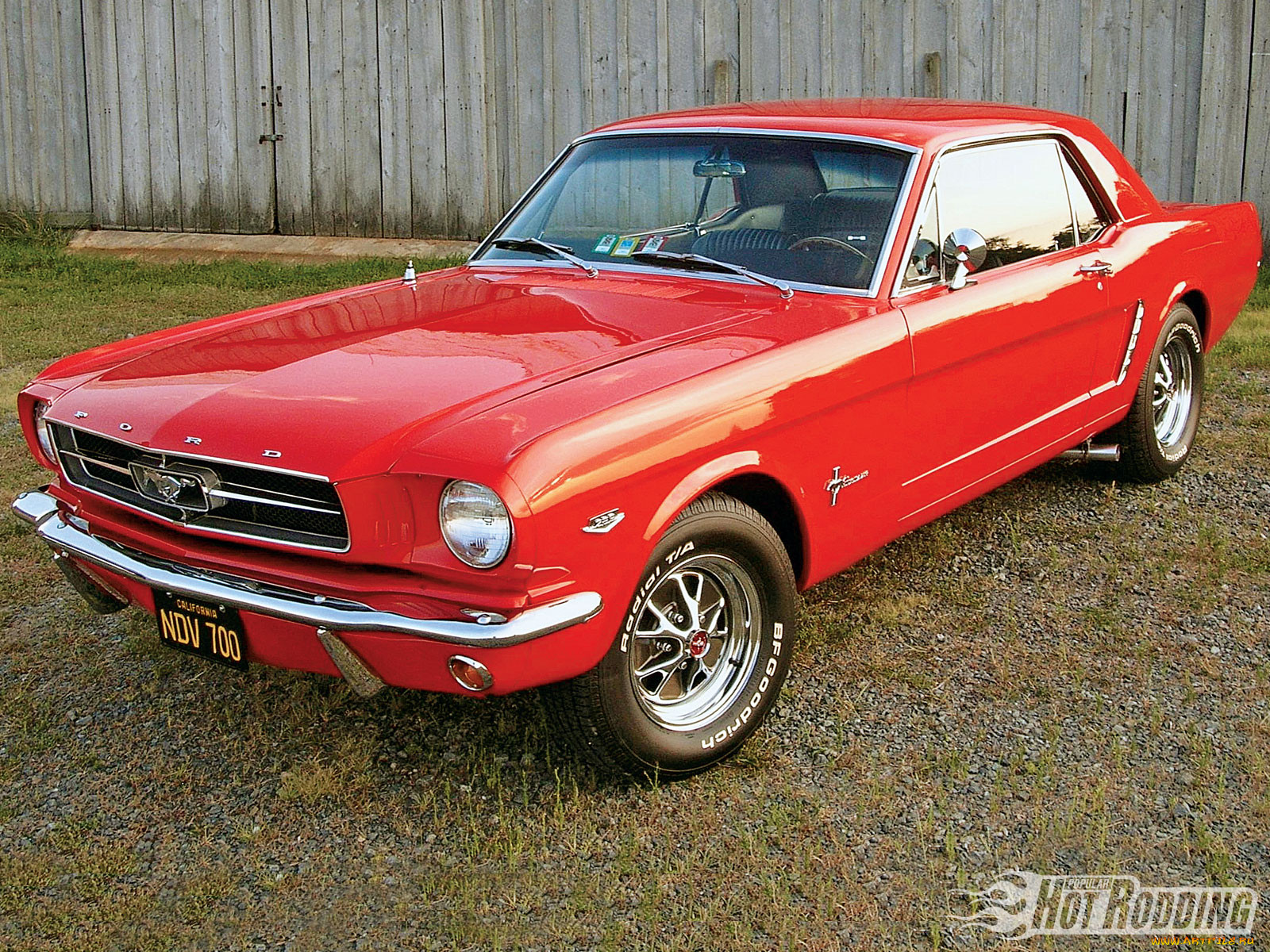, mustang